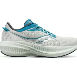 Dames Saucony Neutraal | Dames Triumph 21 Mist / Ink