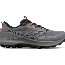 Heren Saucony Trail Running | Heren Peregrine 13 Gtx Gravel / Black